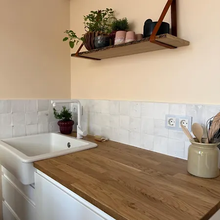 Blush Отель типа 