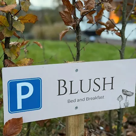 Blush Bed and Breakfast *