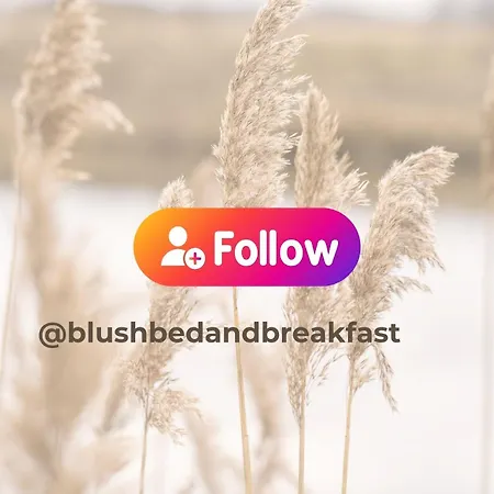 Blush Bed and Breakfast Sprundel