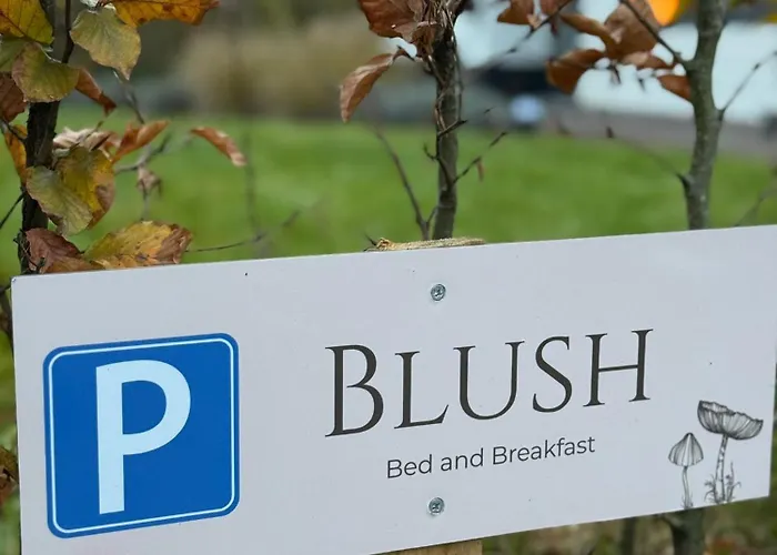 Blush Bed and Breakfast *