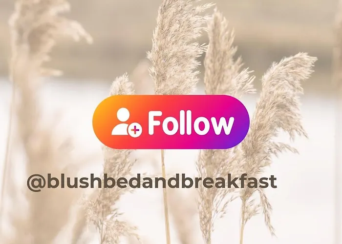 Blush Отель типа 